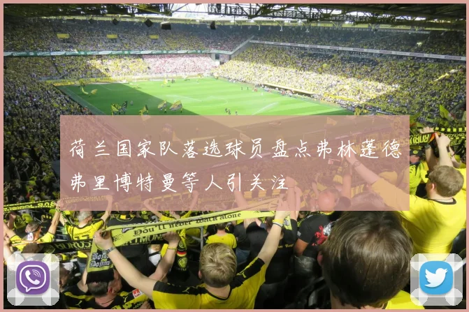 荷兰国家队落选球员盘点弗林蓬德弗里博特曼等人引关注